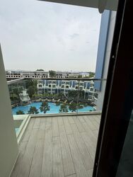 skies-miltonia photo thumbnail #10